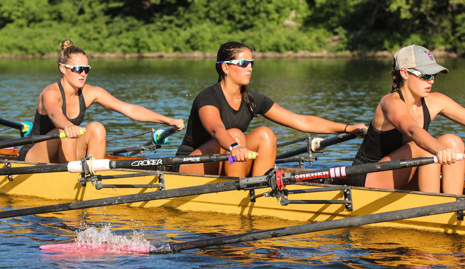 Three sweep rowers mid-drive in golden light