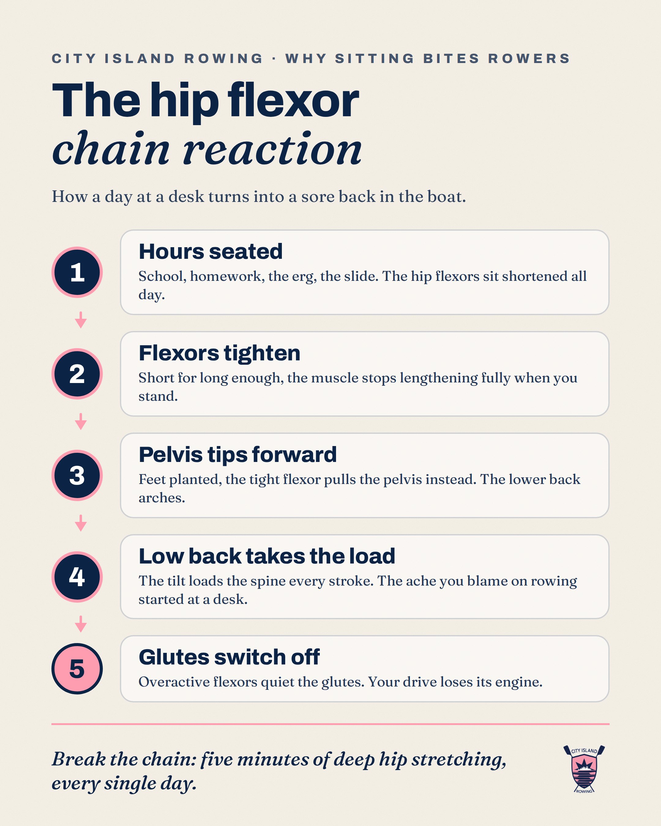 The hip flexor chain reaction: hours seated, flexors tighten, pelvis tips forward, low back takes the load, glutes switch off
